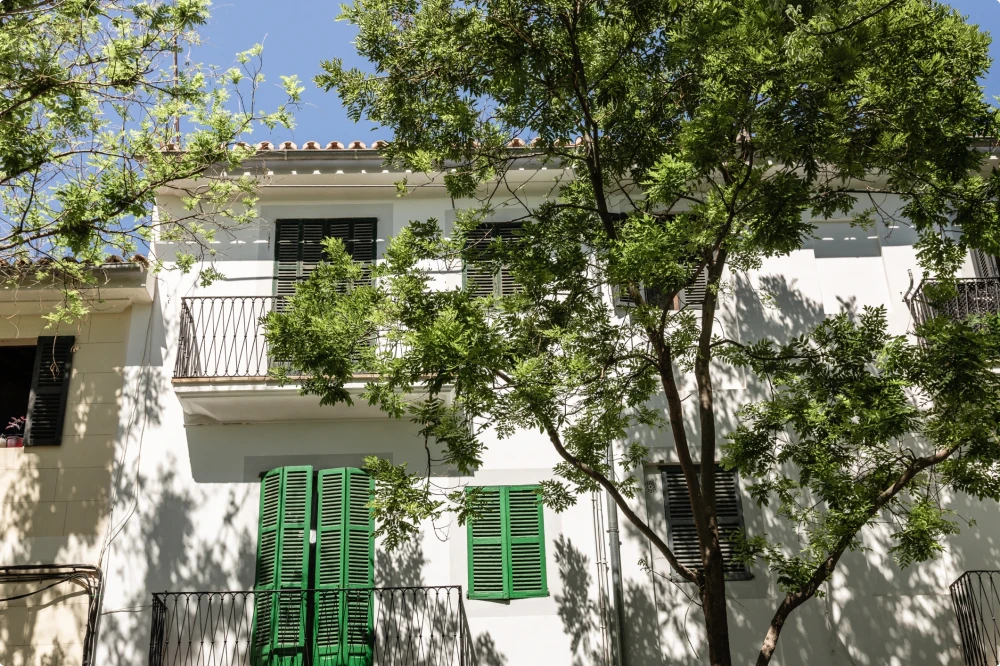 Fachada de una casa tradicional en Santa Catalina con persianas verdes y árboles.